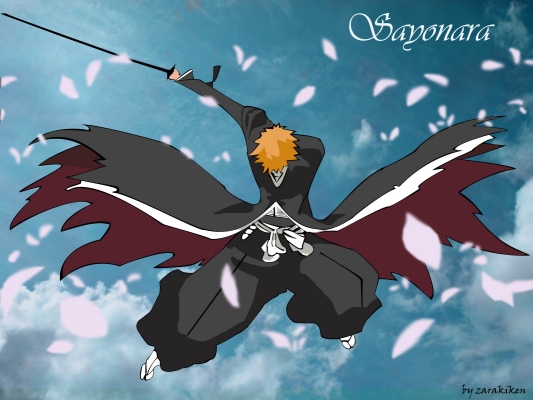 Bleach
bleach 