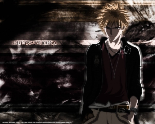 Bleach
bleach 