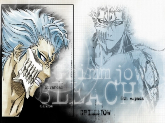 Grimmjow
bleach 