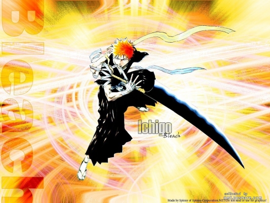 Bleach
bleach 