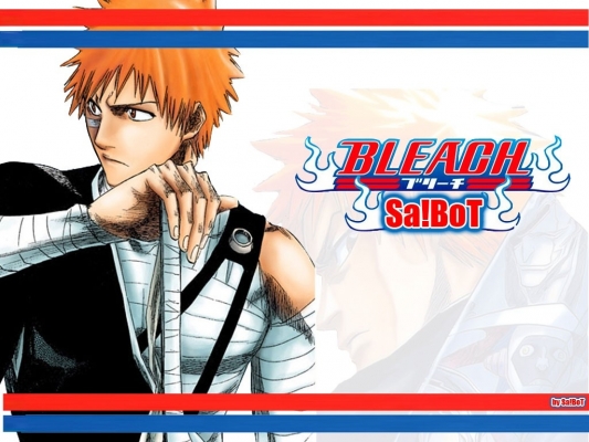 Bleach
bleach 