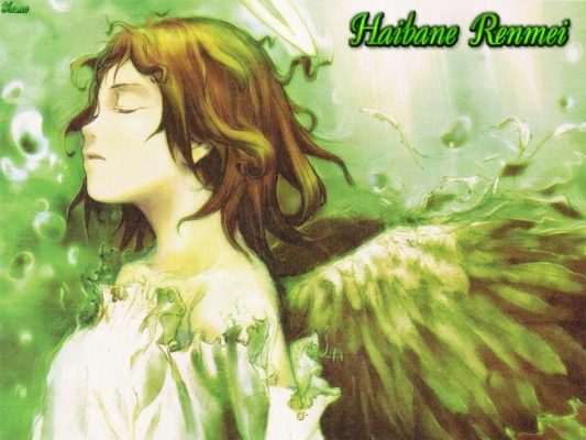 Haibane renmei
Haibane renmei