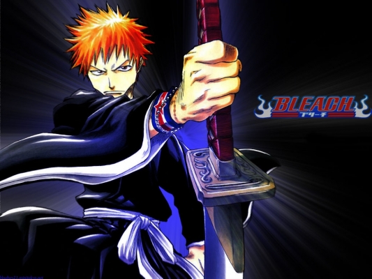 Bleach
Bleach 