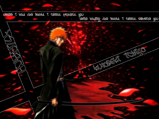 Bleach
Bleach 