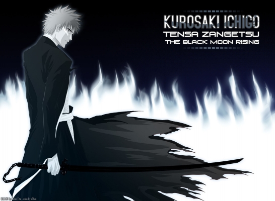 Bleach
Bleach 