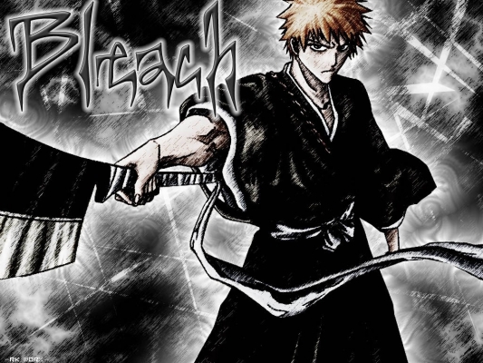 Bleach
Bleach 