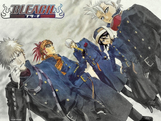 Bleach
Bleach 