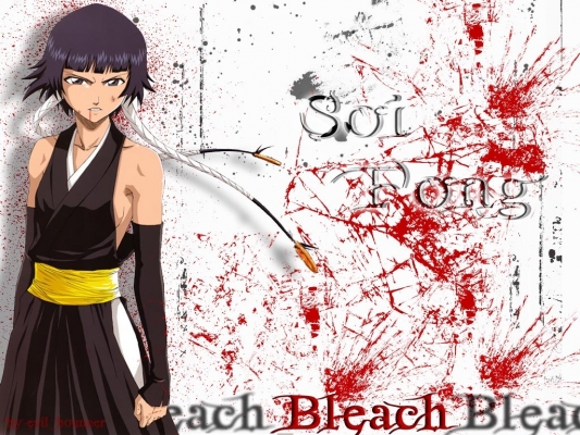 Bleach
Bleach 