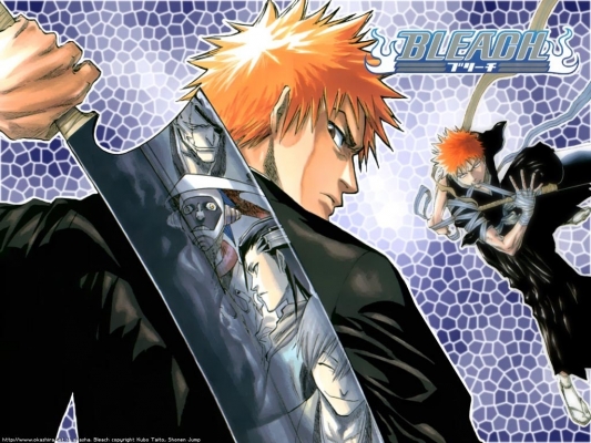 Bleach
Bleach 