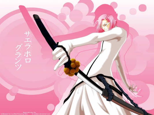 Bleach
Bleach 