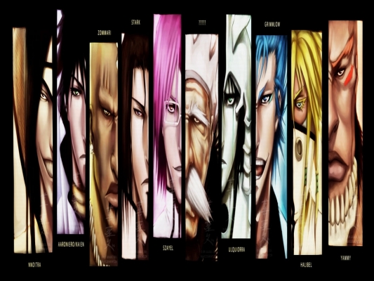 The Espada
Bleach 