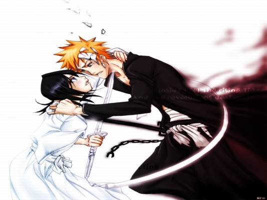 Bleach
Bleach 