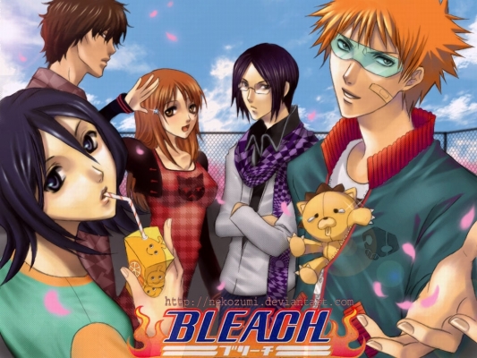 Bleach
Bleach 