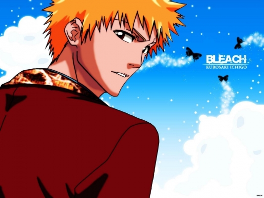 Bleach
Bleach 