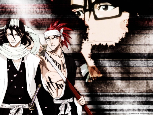 Bleach
Bleach 