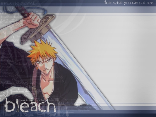 Bleach
Bleach 