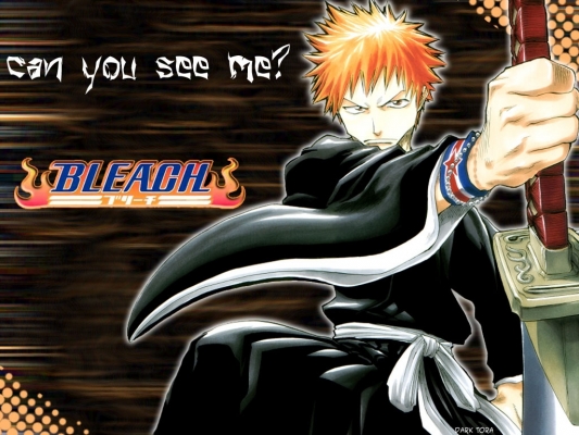 Bleach
Bleach 