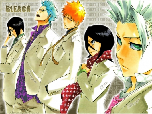 Bleach
Bleach 