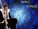 Zaraki
bleach 