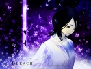 Bleach
bleach 