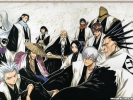 Bleach
bleach 