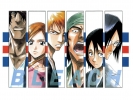 Bleach
bleach 