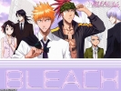 Bleach
bleach 