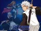 Bleach
bleach 