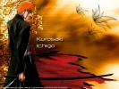 Bleach
bleach 