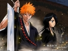 Bleach
bleach 