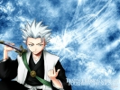 Bleach
bleach 