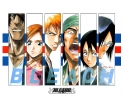 Bleach
bleach 