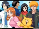 Bleach
bleach 