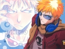 Bleach
bleach 