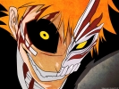 Bleach
bleach 