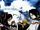 Bleach
bleach 