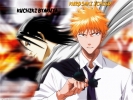 Bleach
Bleach 