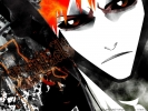 Bleach
Bleach 