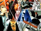 Bleach
Bleach 