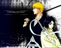 Bleach
Bleach 