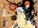 Bleach
Bleach 