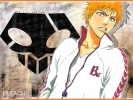 Bleach
Bleach 