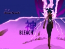 Bleach
Bleach 