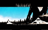 bleach
bleach 