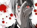 
vampire knight