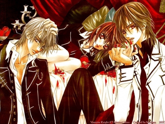 Vampire Knight
Vampire Knight