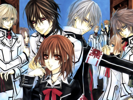 Vampire Knight
Vampire Knight