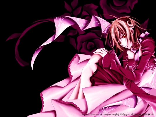 Vampire Knight
Vampire Knight