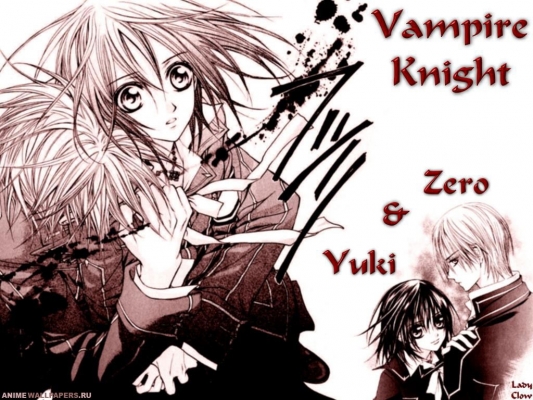 Vampire Knight
Vampire Knight