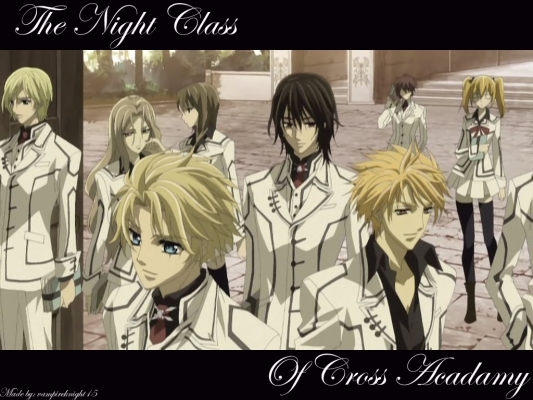 Vampire Knight
Vampire Knight